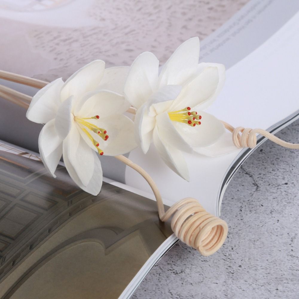 多目的5cm天然手作りフレグランスリビングルーム用ホームアロ - Home Fragrance Natural のレビューと価格