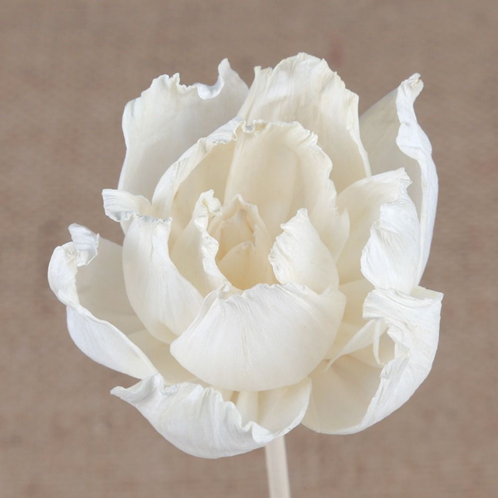 多目的5cm天然手作りフレグランスリビングルーム用ホームアロ - Home Fragrance Natural のレビューと価格