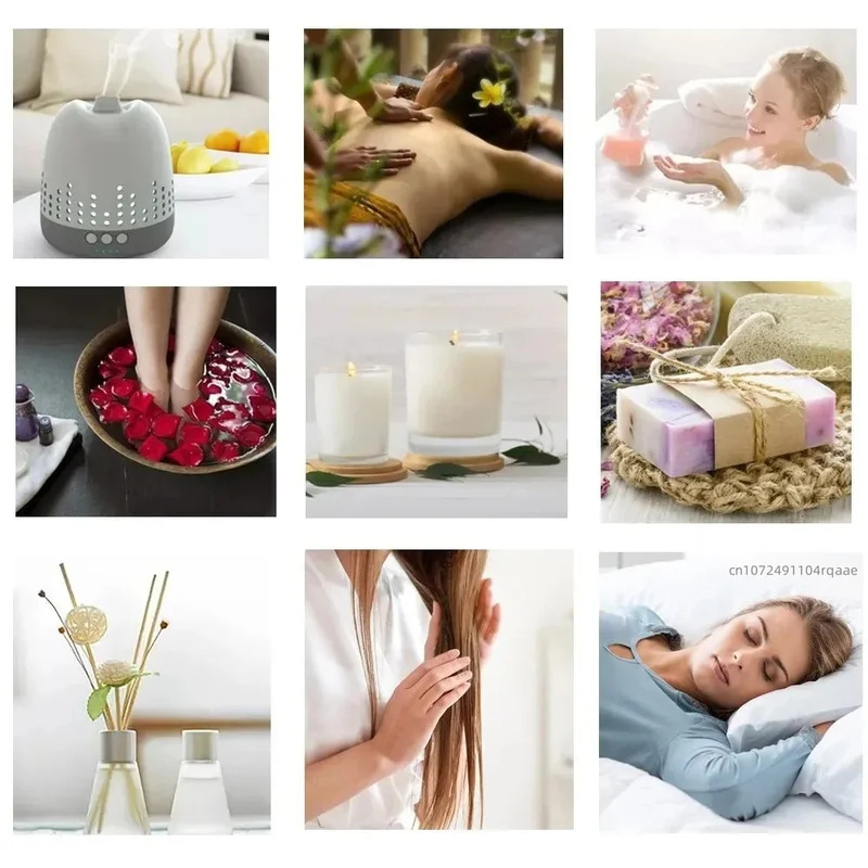 天然ブルーロータスリードディフューザー アロマティックホーム - Home Fragrance Natural のレビューと価格