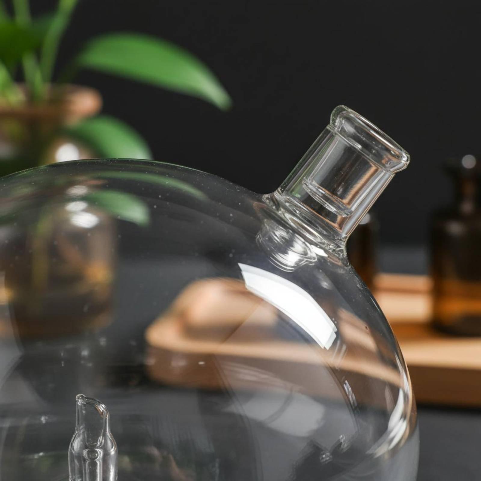 ディフューザーボトル ユニバーサルフィット ガラス交換用 ウ - Home Fragrance For Diffuser のレビューと価格